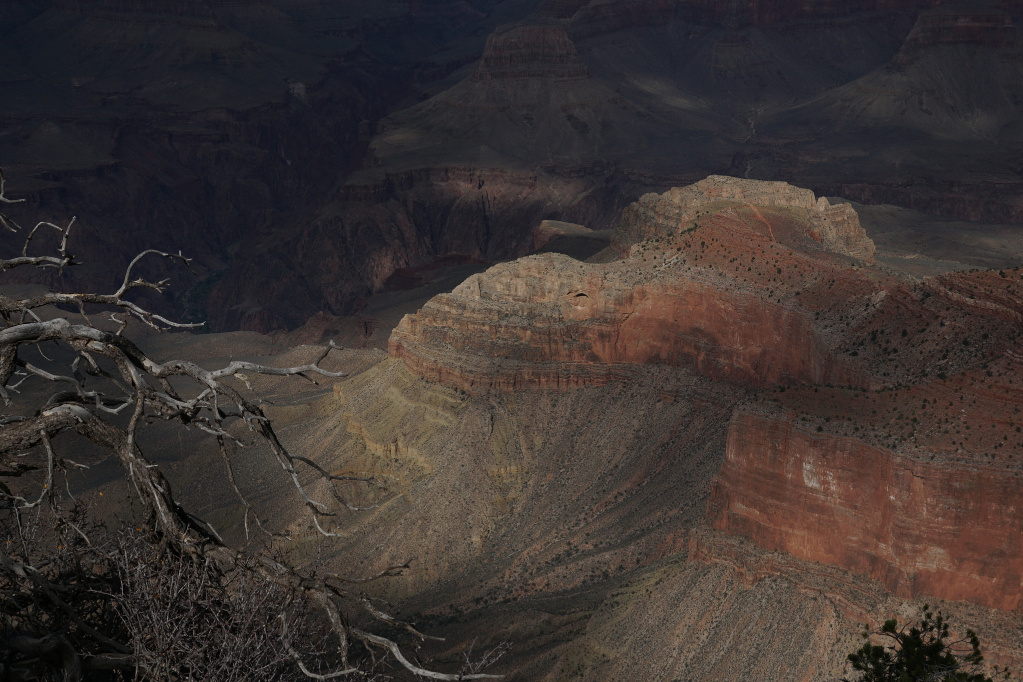 Sony ILCA-77M2 sample photo. Grand canyon photography