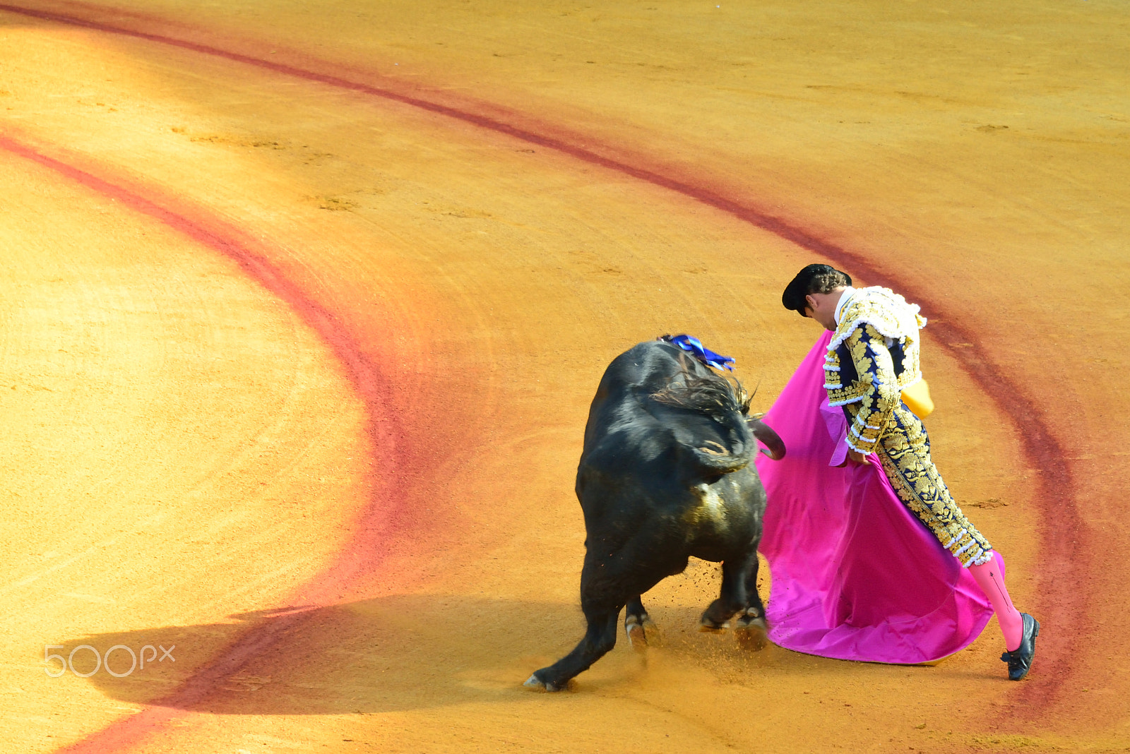 Nikon D800 sample photo. Toros en españa photography