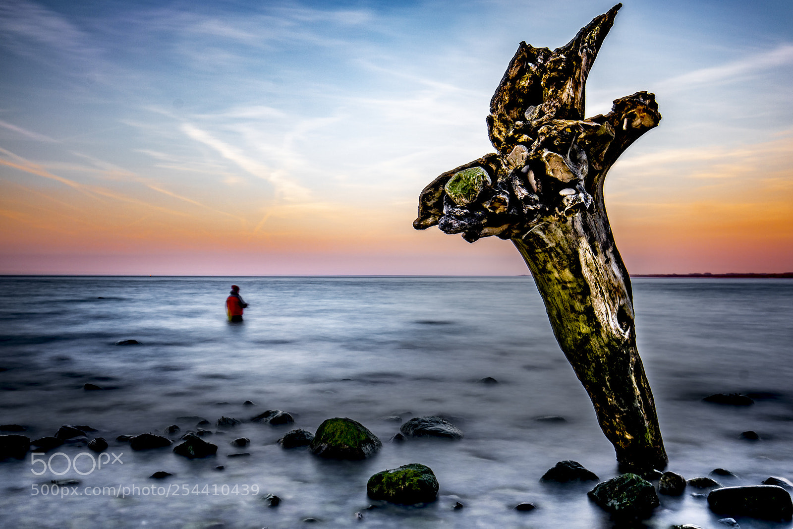 Canon EOS 5D Mark IV sample photo. Angler in the rough photography