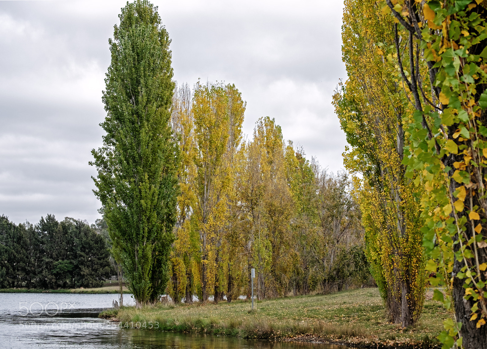 Fujifilm X-T1 sample photo. Changing colours photography