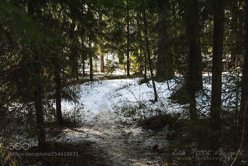 Nikon D3000 sample photo. Sight of pietarsaari photography