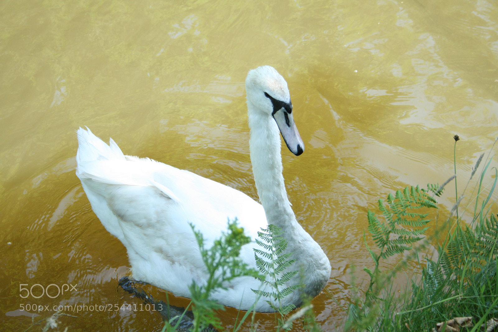 Canon EF-S 18-55mm F3.5-5.6 II sample photo. Img photography