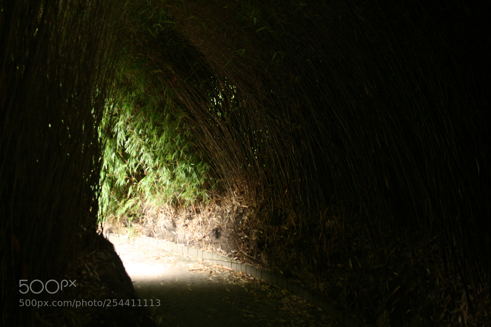 Canon EF-S 18-55mm F3.5-5.6 II sample photo. Img photography
