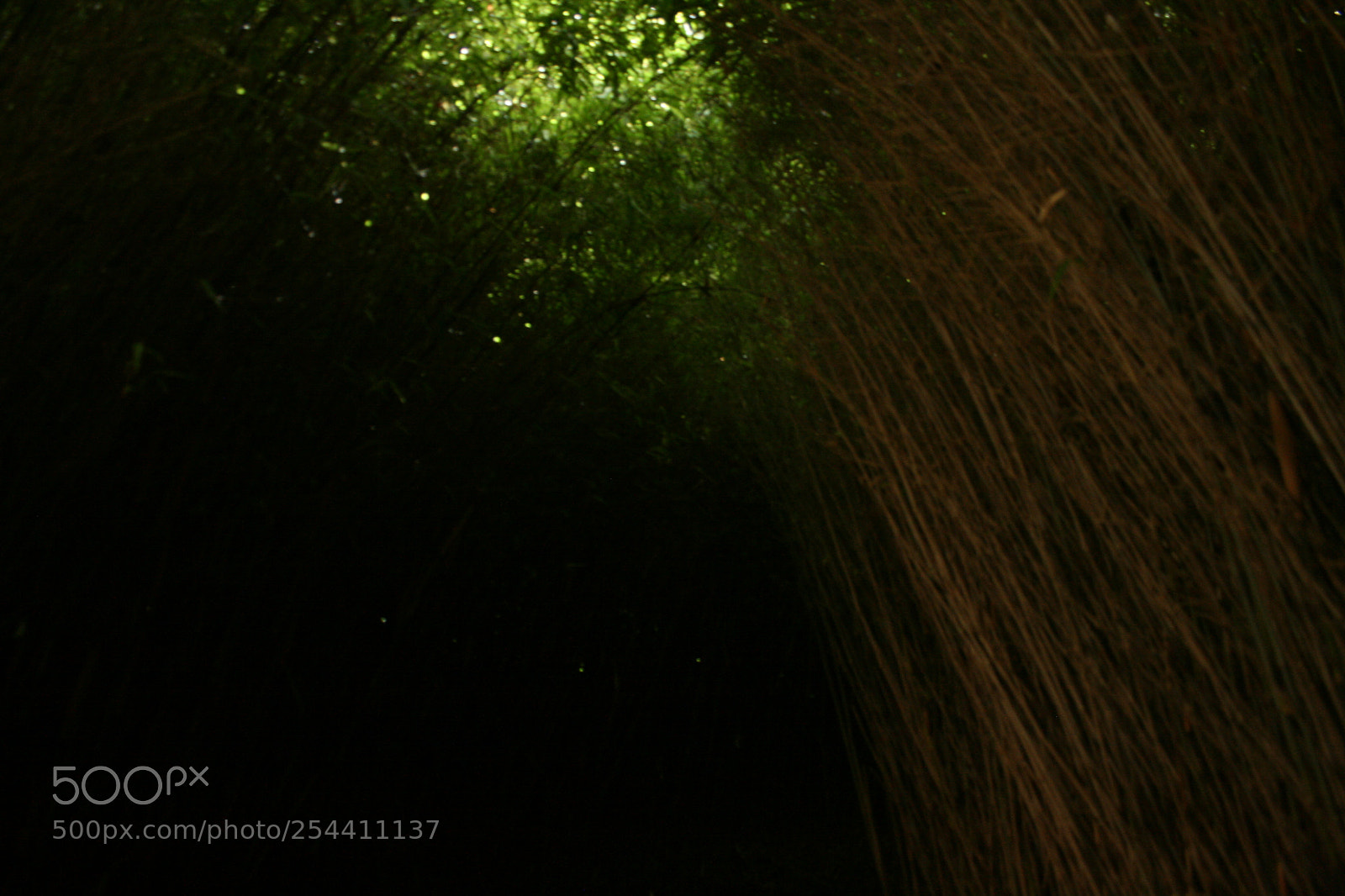 Canon EF-S 18-55mm F3.5-5.6 II sample photo. Img photography