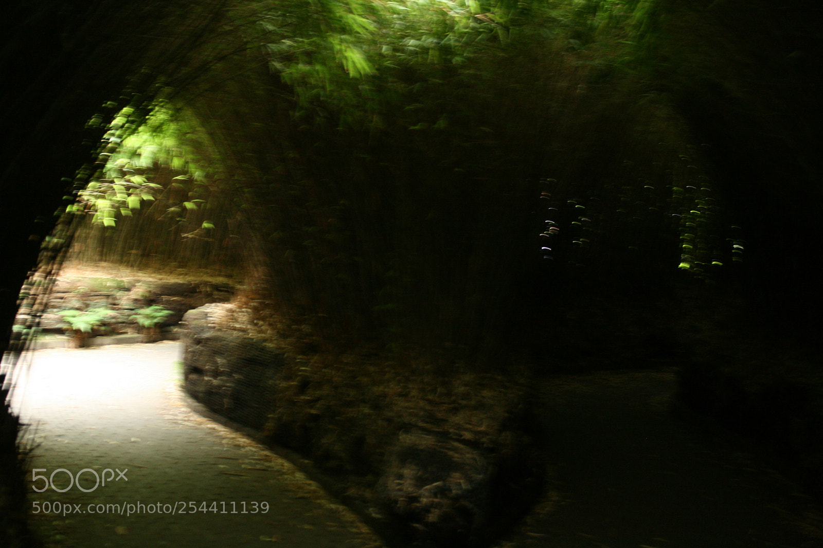 Canon EF-S 18-55mm F3.5-5.6 II sample photo. Img photography