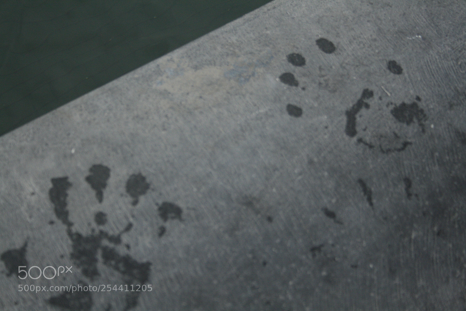 Canon EF-S 18-55mm F3.5-5.6 II sample photo. Img photography