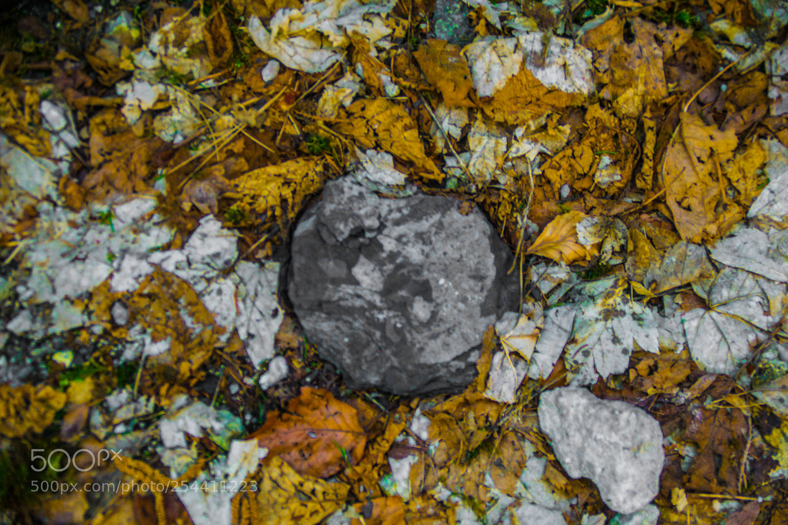 Sony a5100 sample photo. Walking on dorga photography