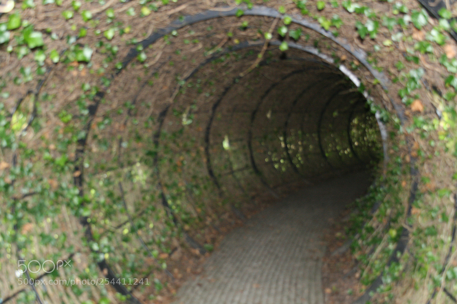 Canon EF-S 18-55mm F3.5-5.6 II sample photo. Img photography