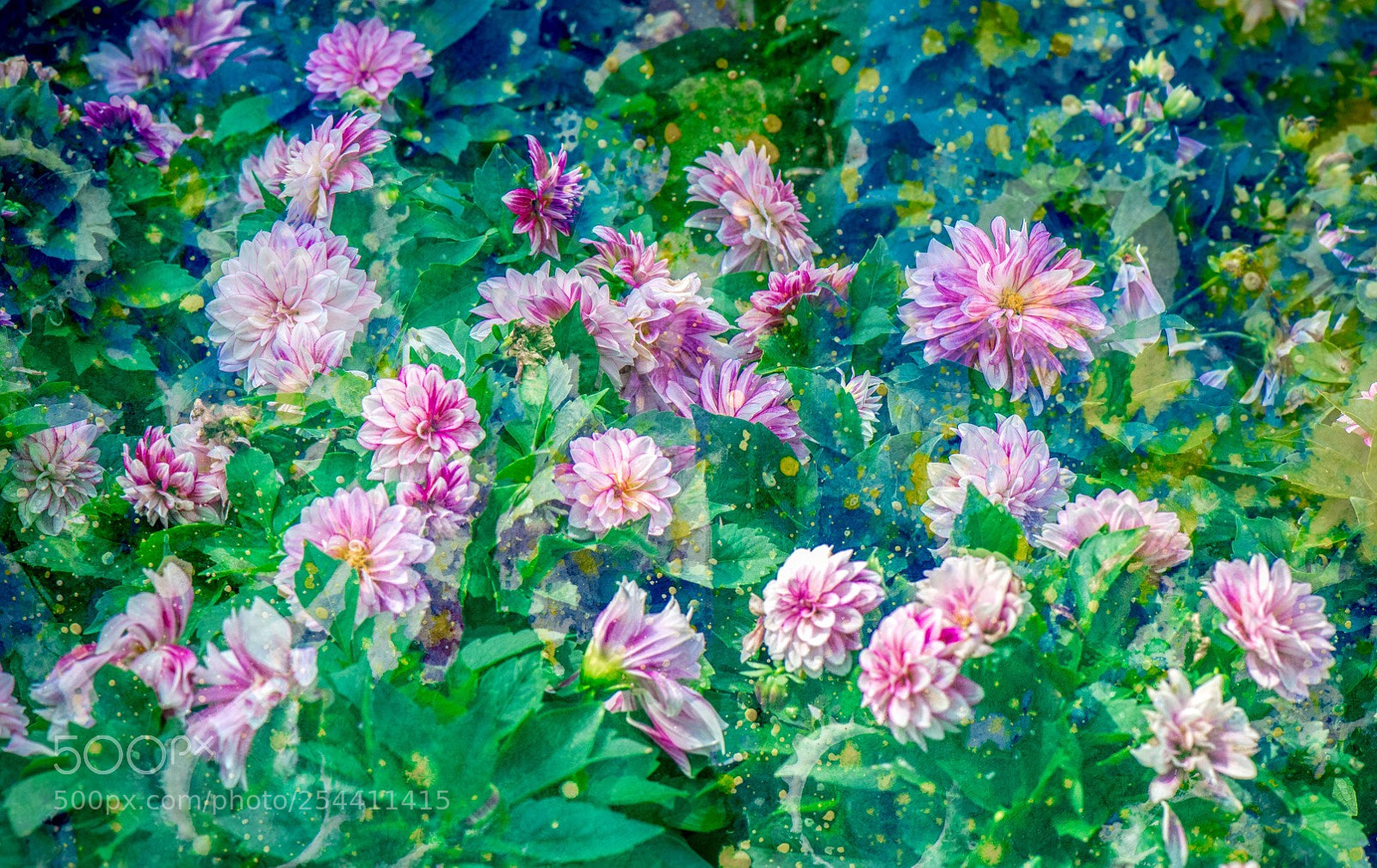 Nikon D850 sample photo. Flower photography