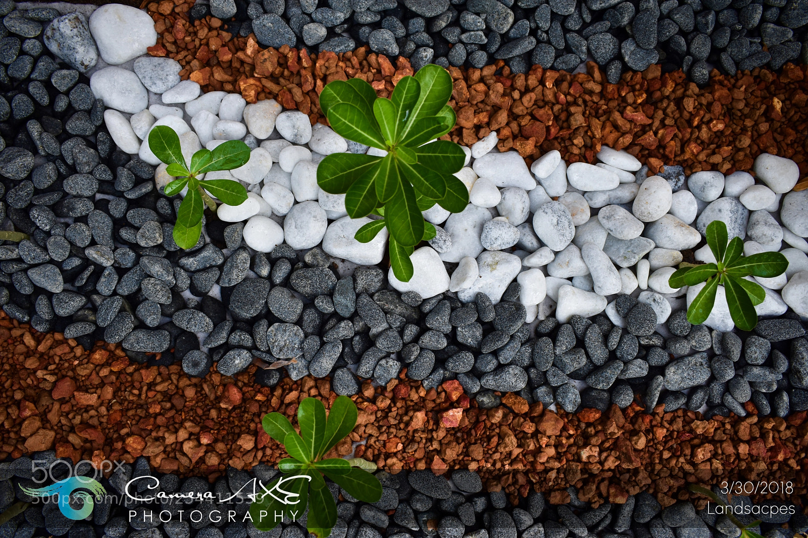 Nikon D3400 sample photo. Rocks photography