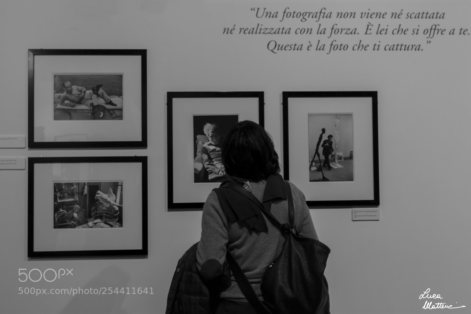 Nikon D7100 sample photo. Ode to the master photography