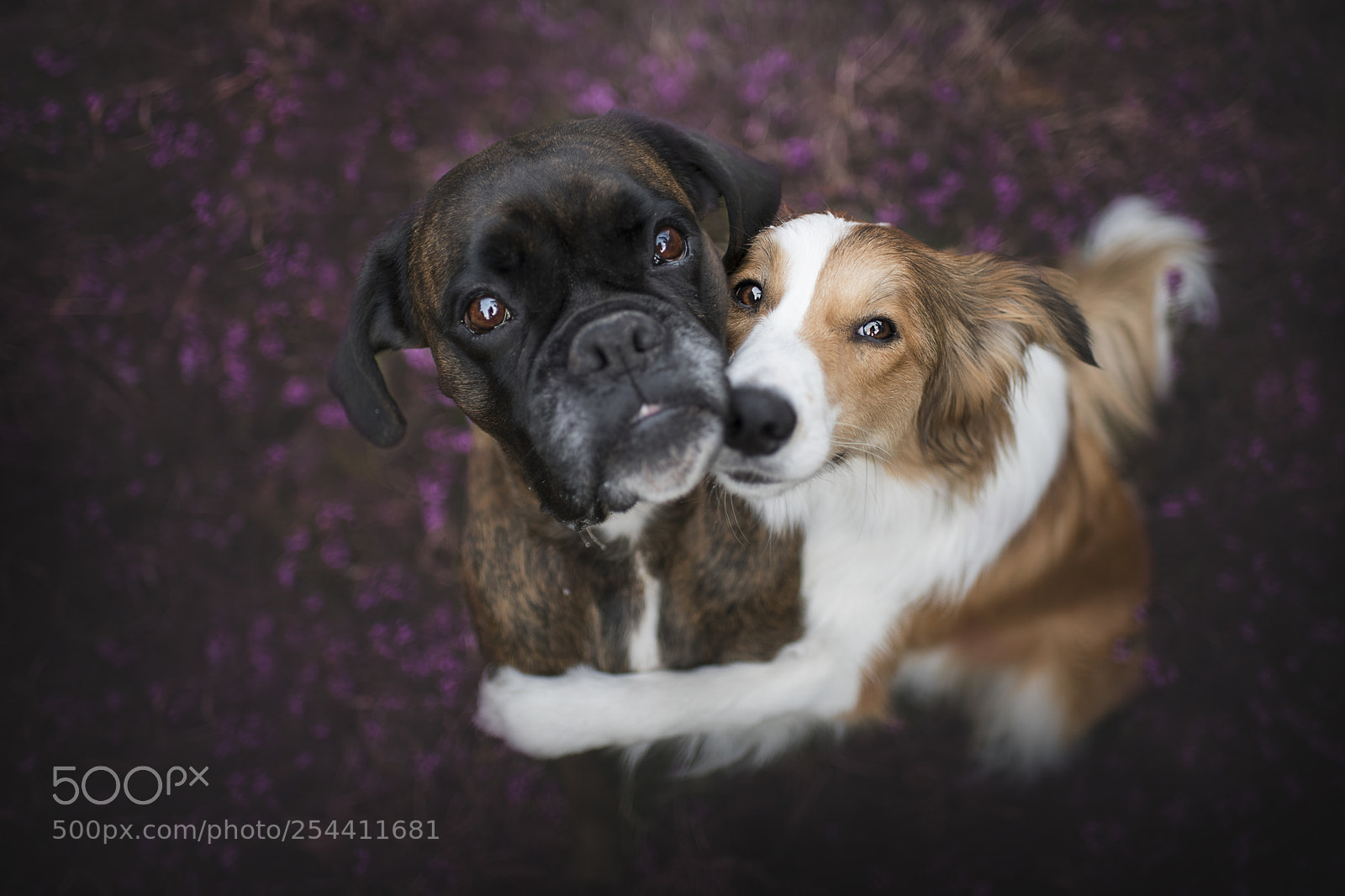 Nikon D850 sample photo. 2.jpg photography