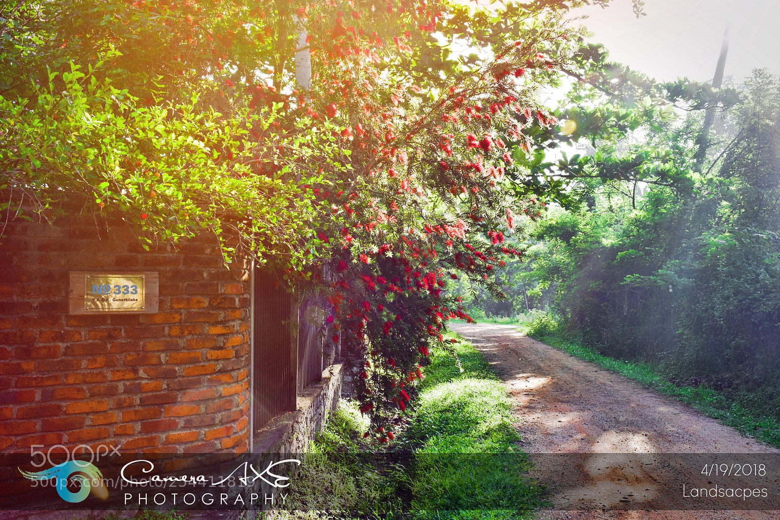 Nikon D3400 sample photo. Home gate photography