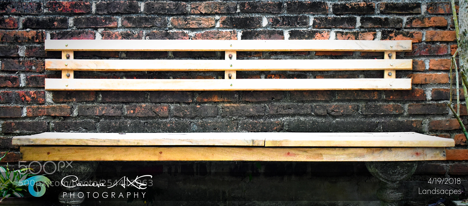 Nikon D3400 sample photo. Bench photography