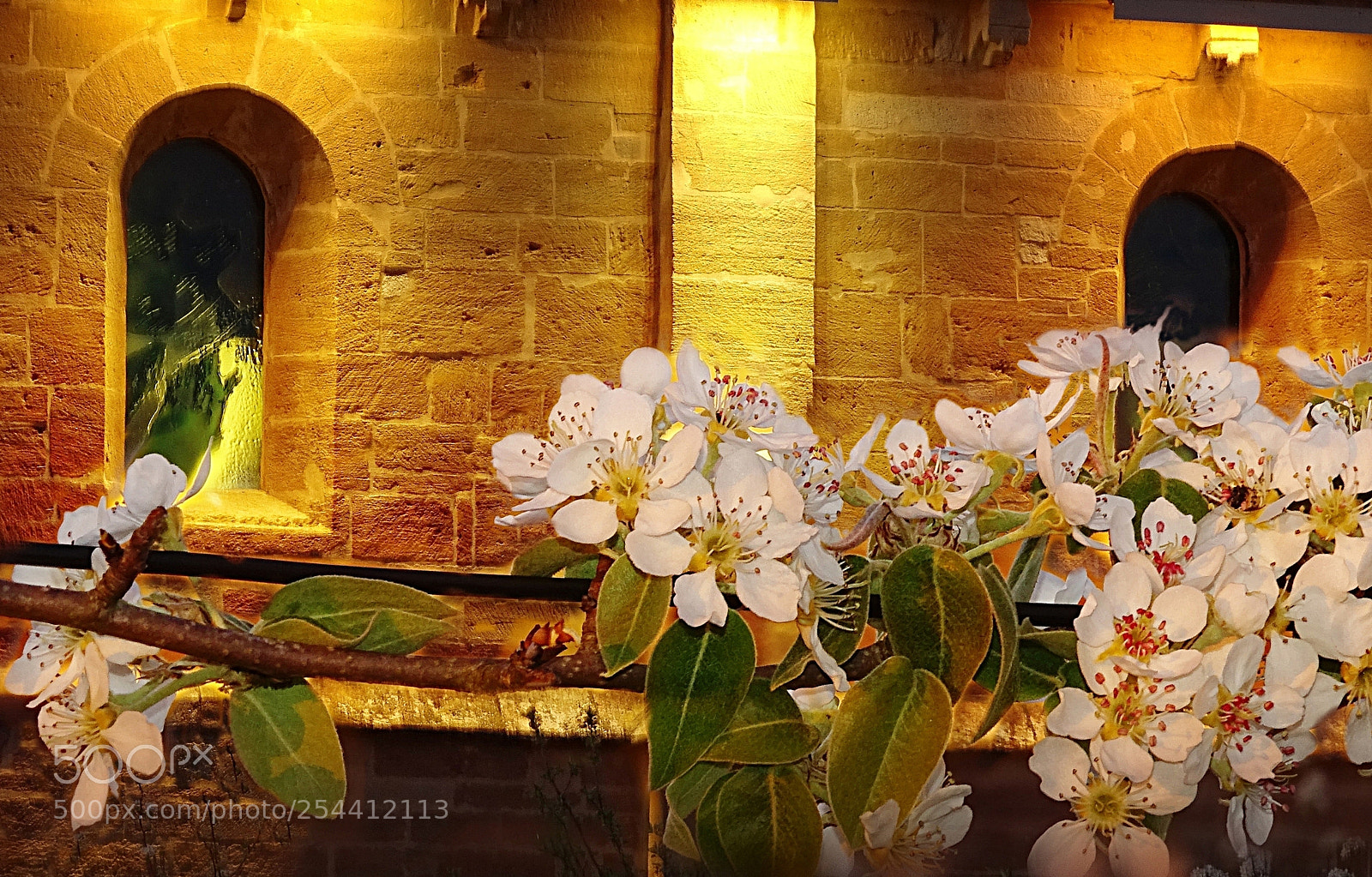 Sony Cyber-shot DSC-HX400V sample photo. Le sacre du printemps photography