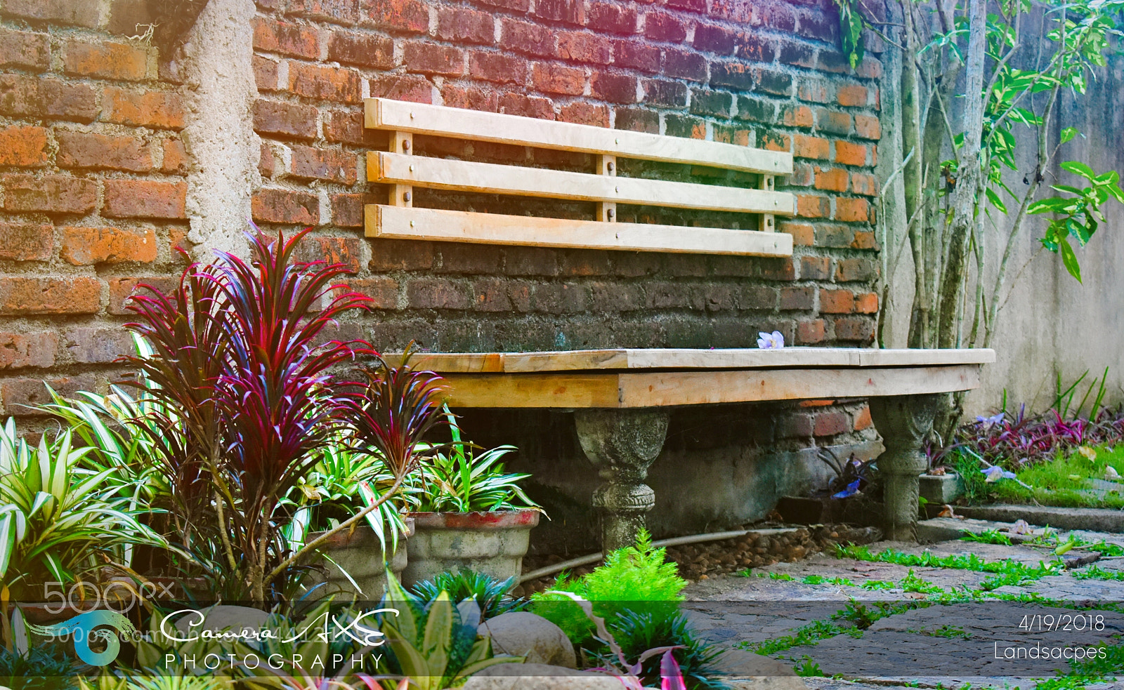 Nikon D3400 sample photo. Bench with garden photography