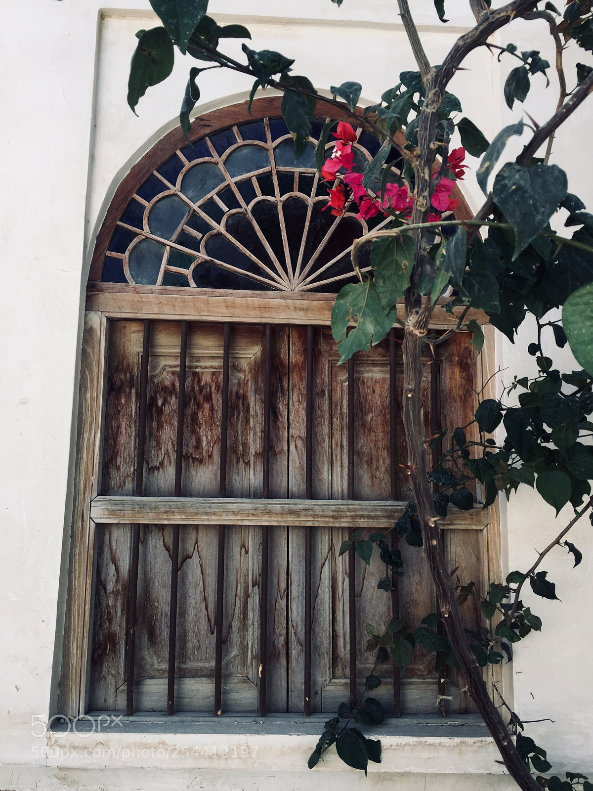 Apple iPhone 6 sample photo. Untitled photography