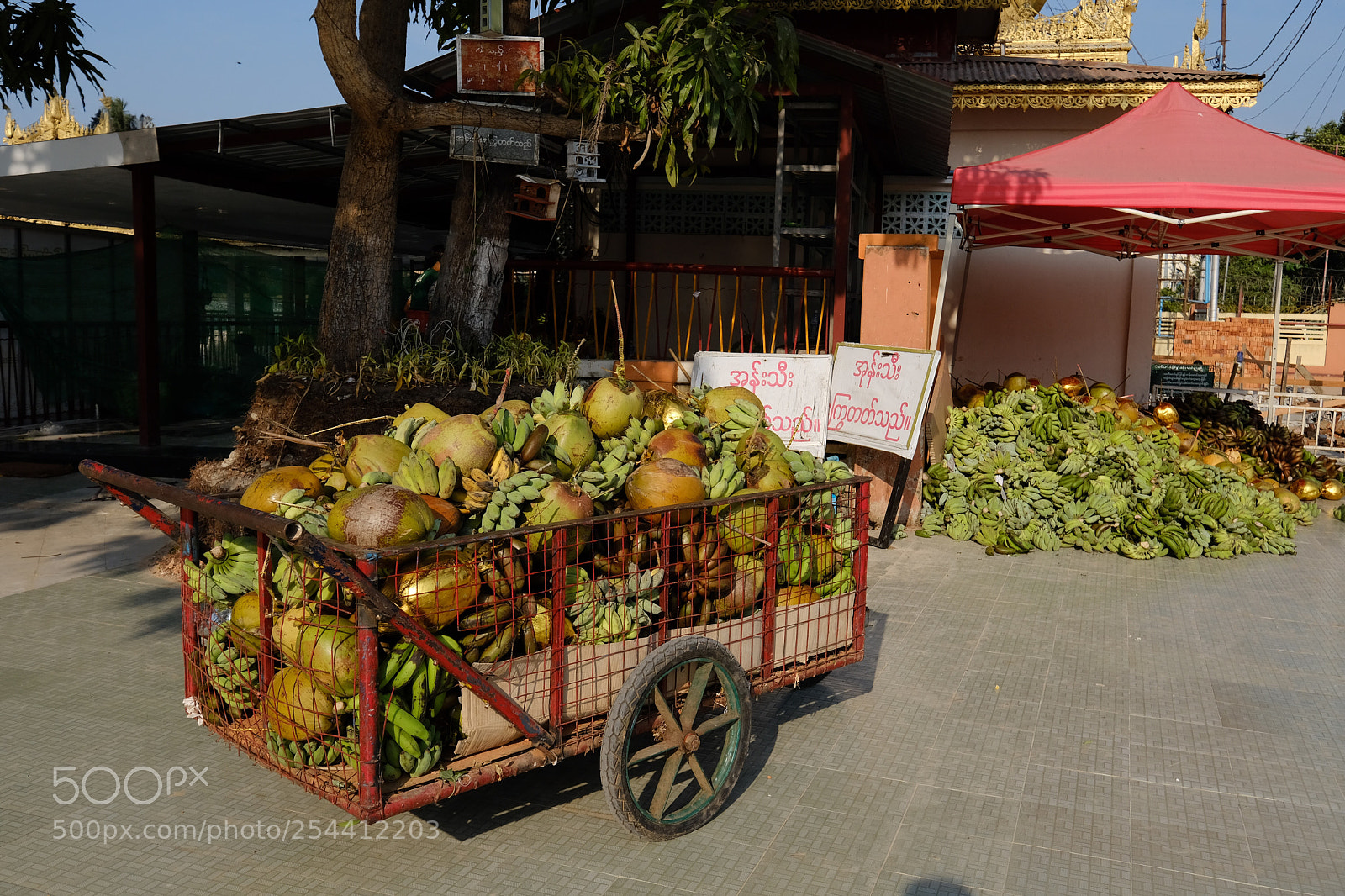 Fujifilm X-T20 sample photo. Carro de ofrendas, myanmar photography