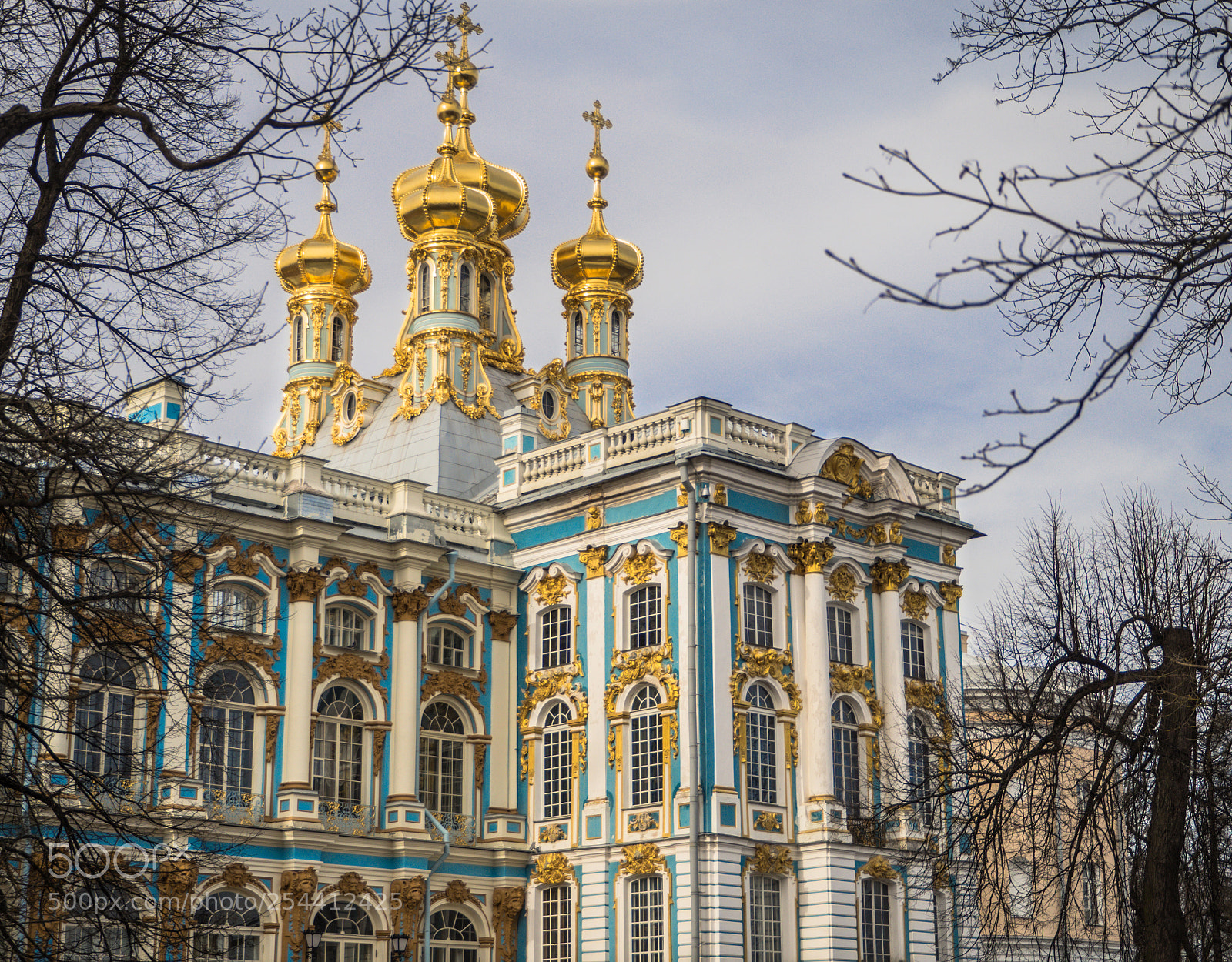 Olympus OM-D E-M10 II sample photo. Catherine palace photography