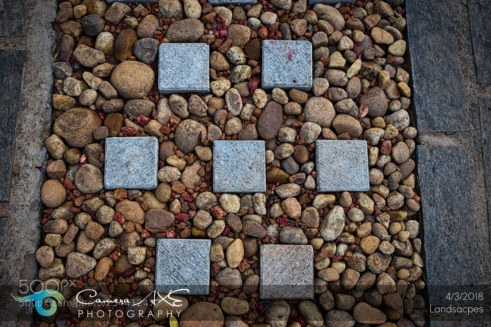Nikon D3400 sample photo. Pattern photography
