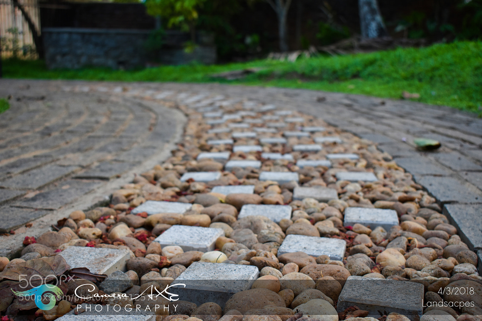 Nikon D3400 sample photo. Path photography