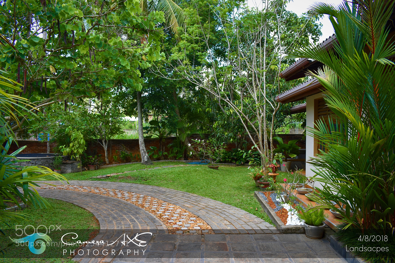 Nikon D3400 sample photo. Path photography
