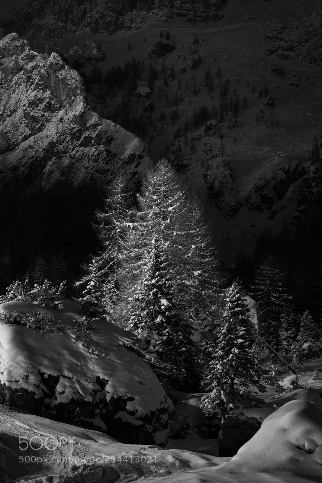 Nikon D7100 sample photo. Dolomiti night photography