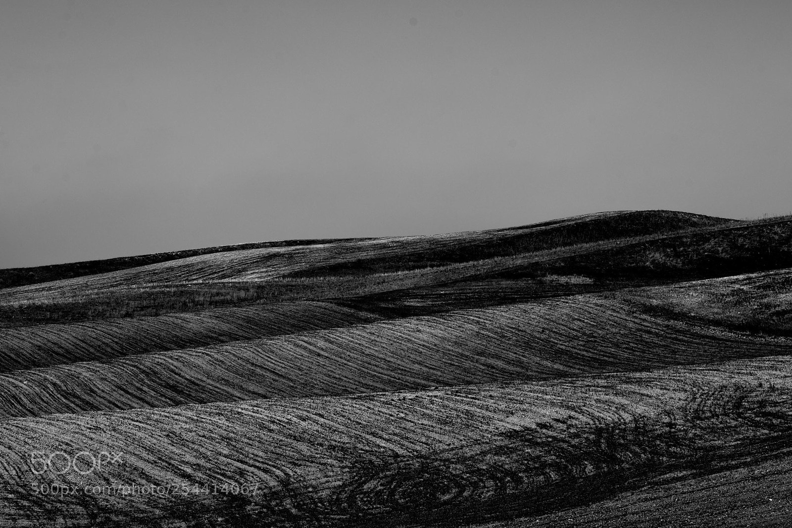 Nikon D800 sample photo. Distant fields 1 photography