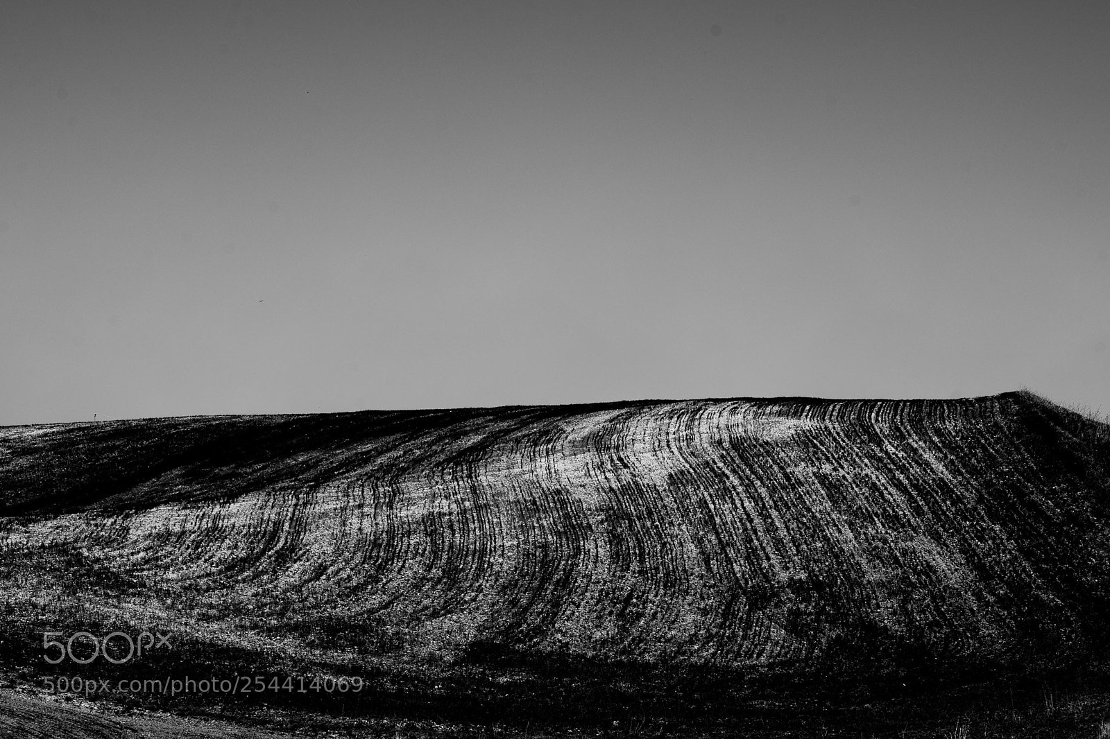 Nikon D800 sample photo. Distant fields 2 photography