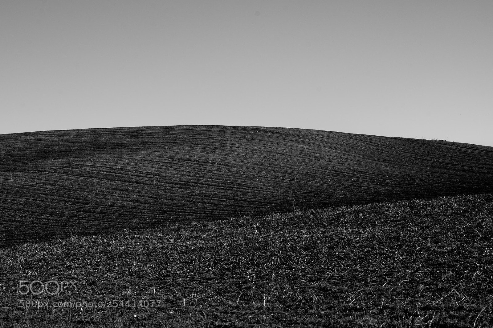 Nikon D800 sample photo. Distant fields 3 photography