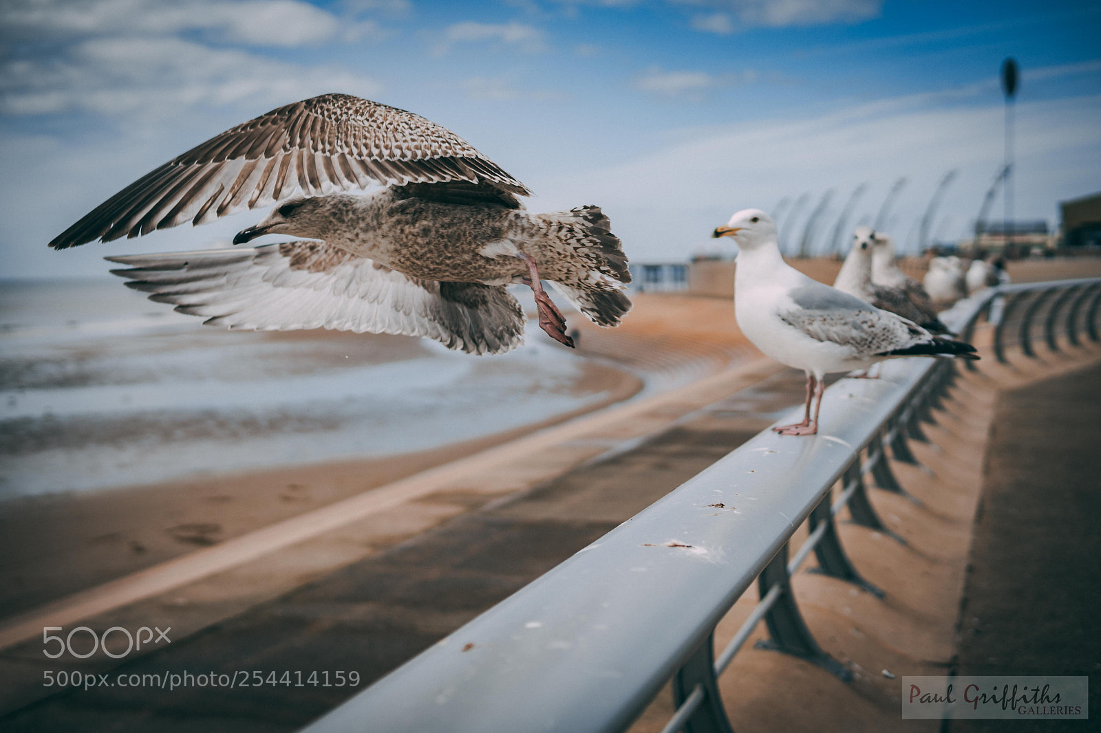 Sony a6500 sample photo. Blackpool photography