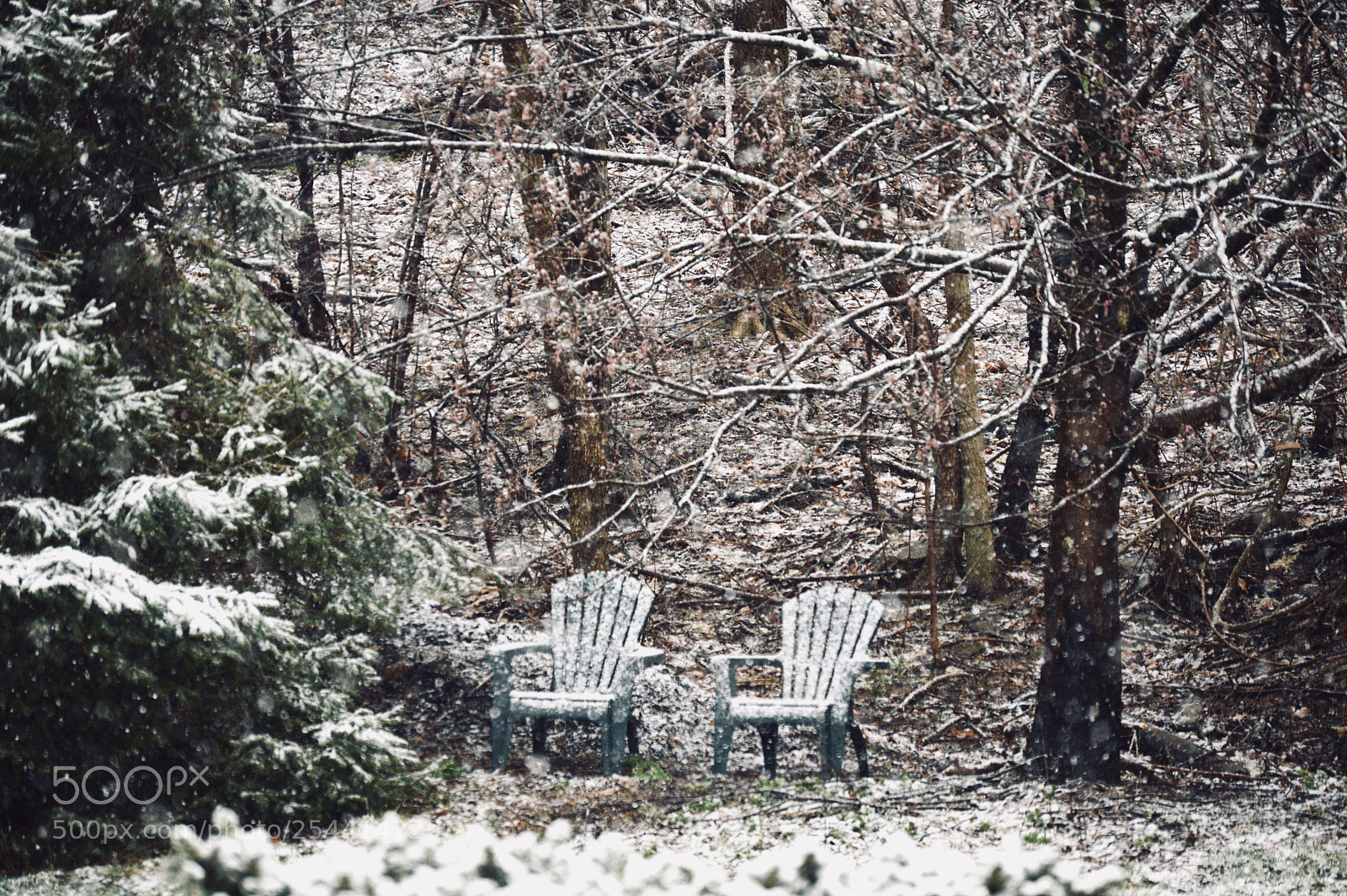 Nikon D3200 sample photo. Untitled photography