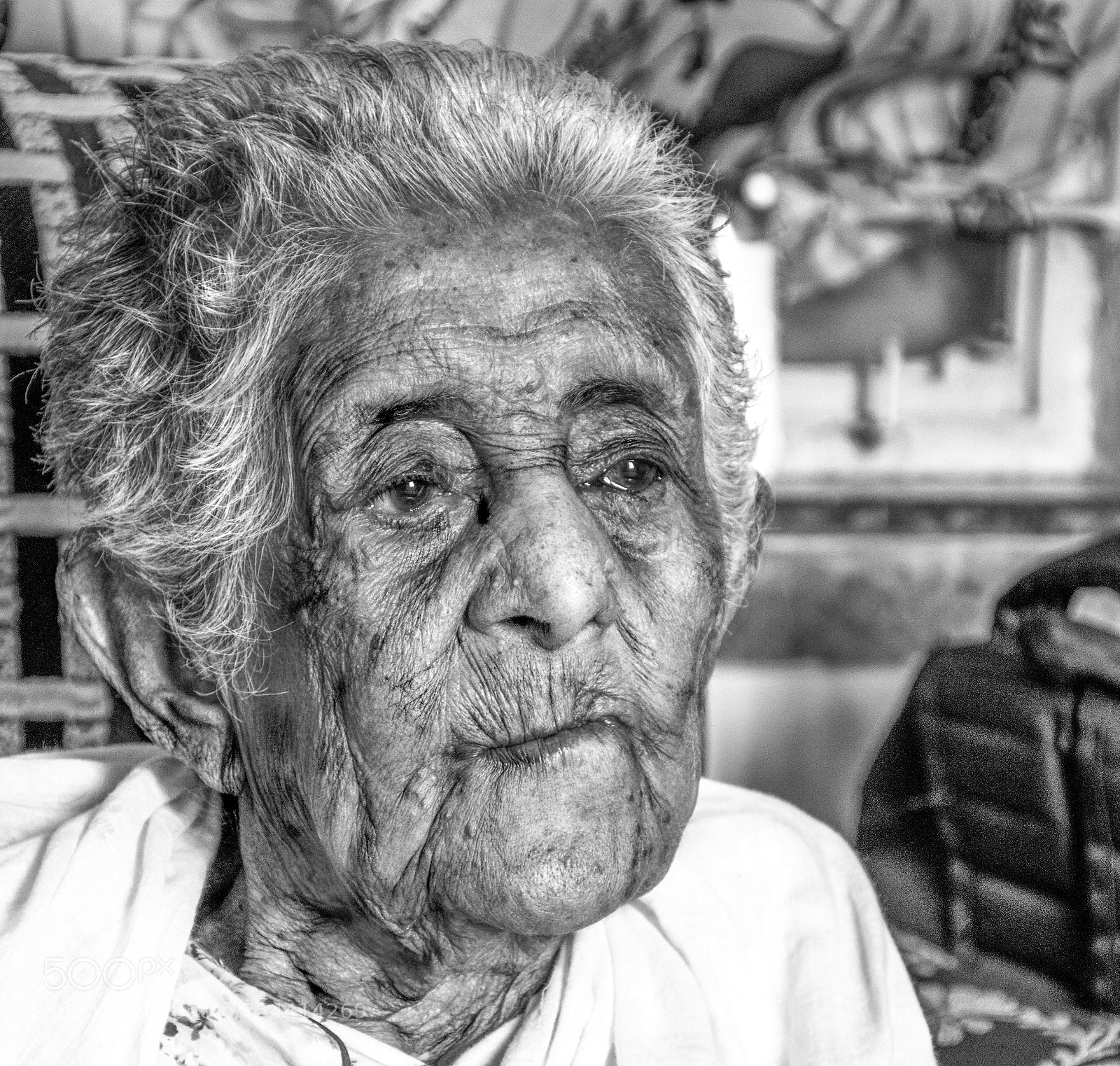 Nikon D5600 sample photo. Granny photography