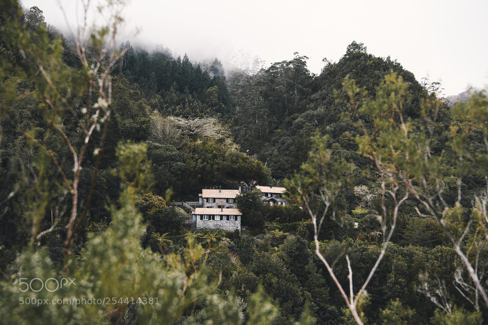 Nikon D850 sample photo. Remote living photography