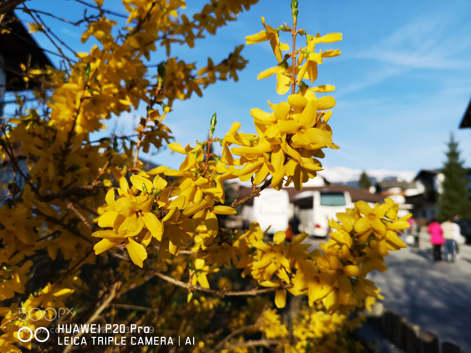 HUAWEI CLT-L29 sample photo. Untitled photography