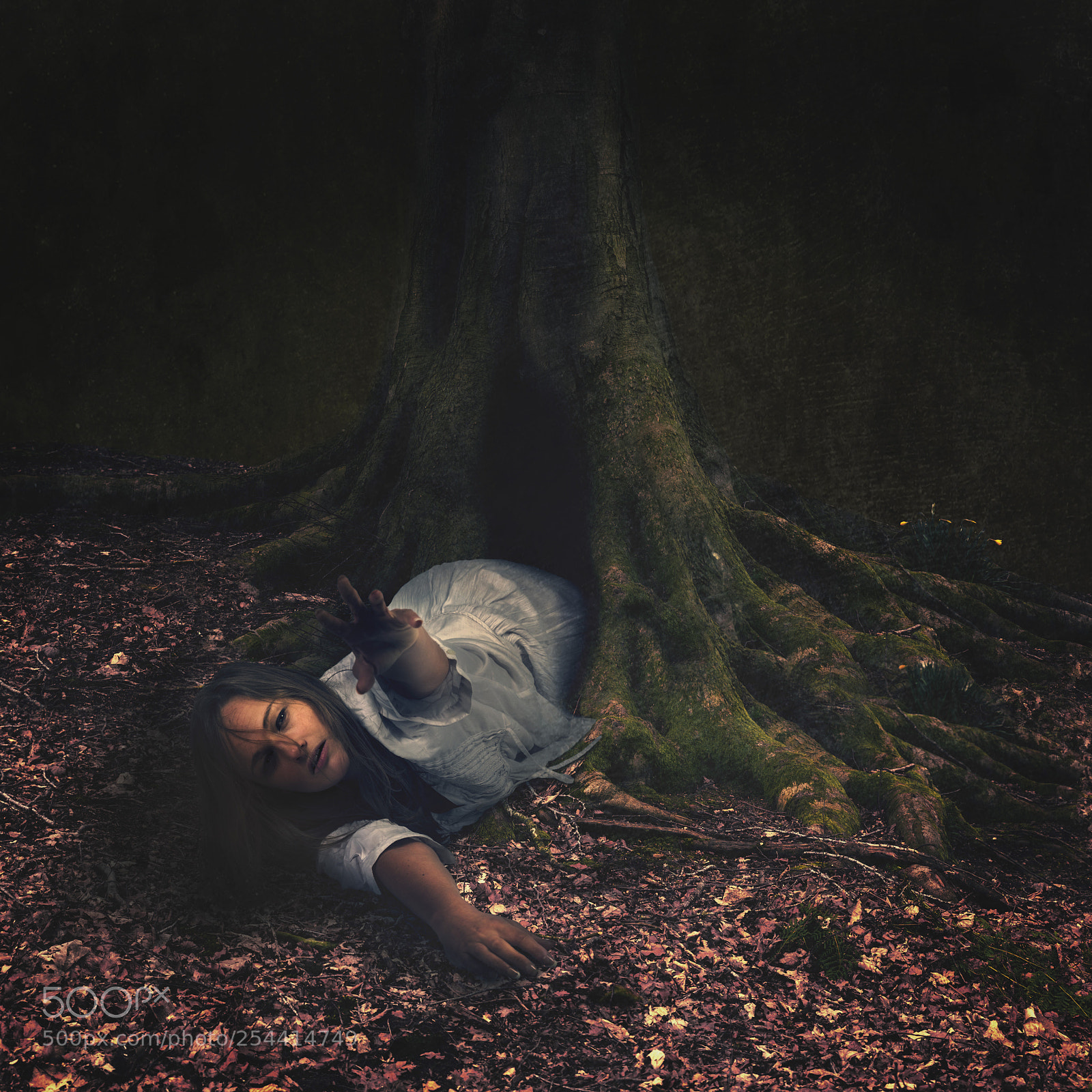 Nikon D810 sample photo. Revenant photography