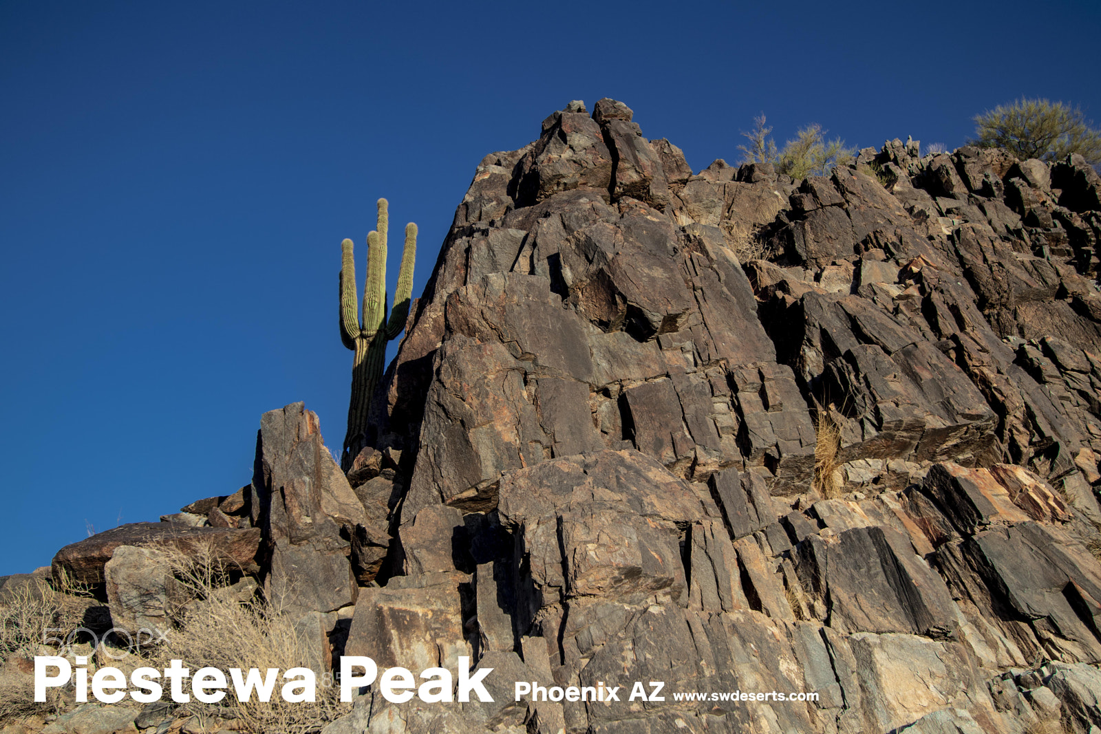 Canon EOS 800D (EOS Rebel T7i / EOS Kiss X9i) sample photo. Piestewa photography