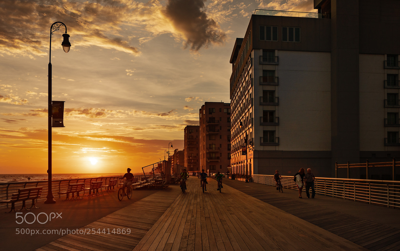 Nikon D850 sample photo. Evening walk photography