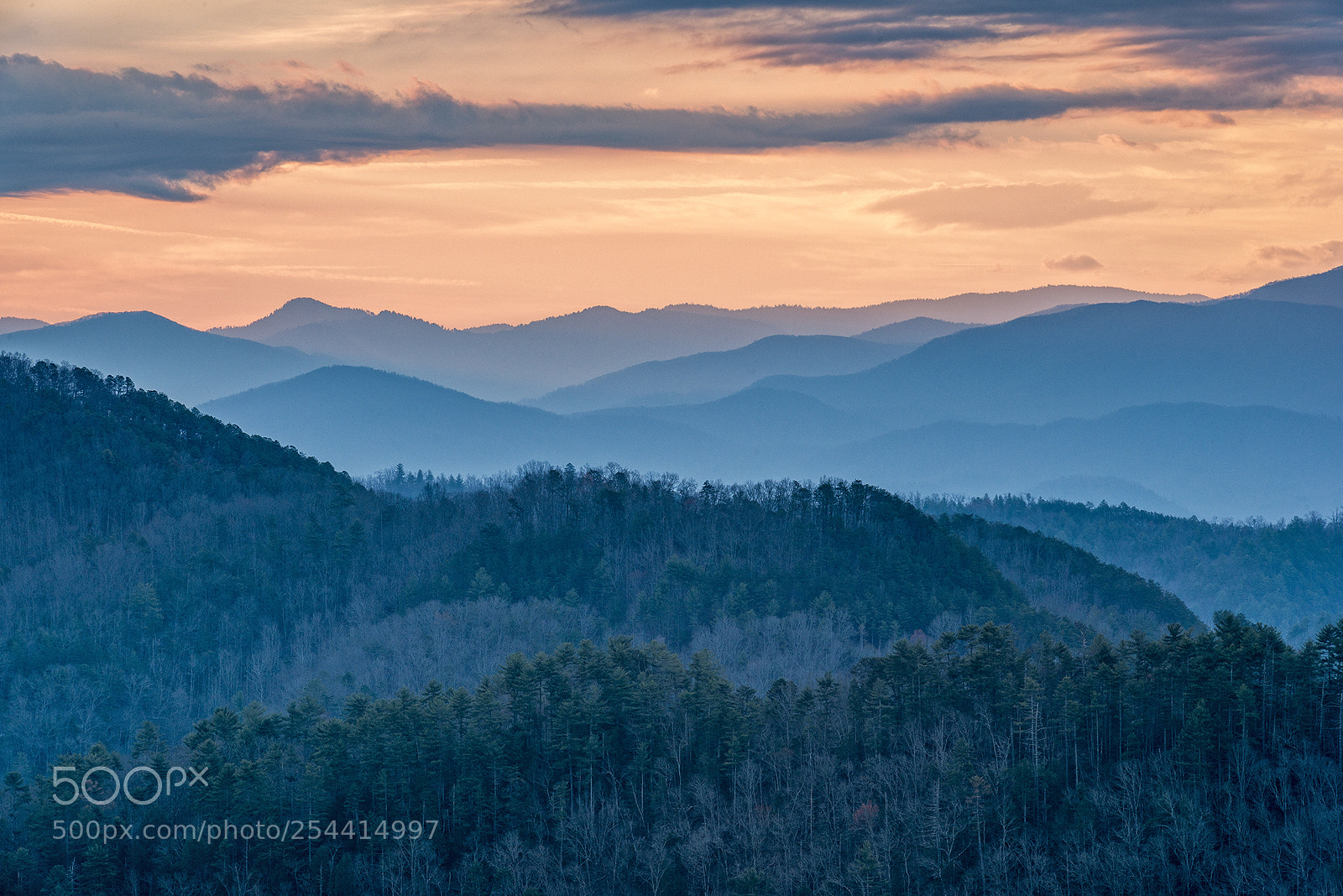 Nikon D800E sample photo. Blue ridge vista photography