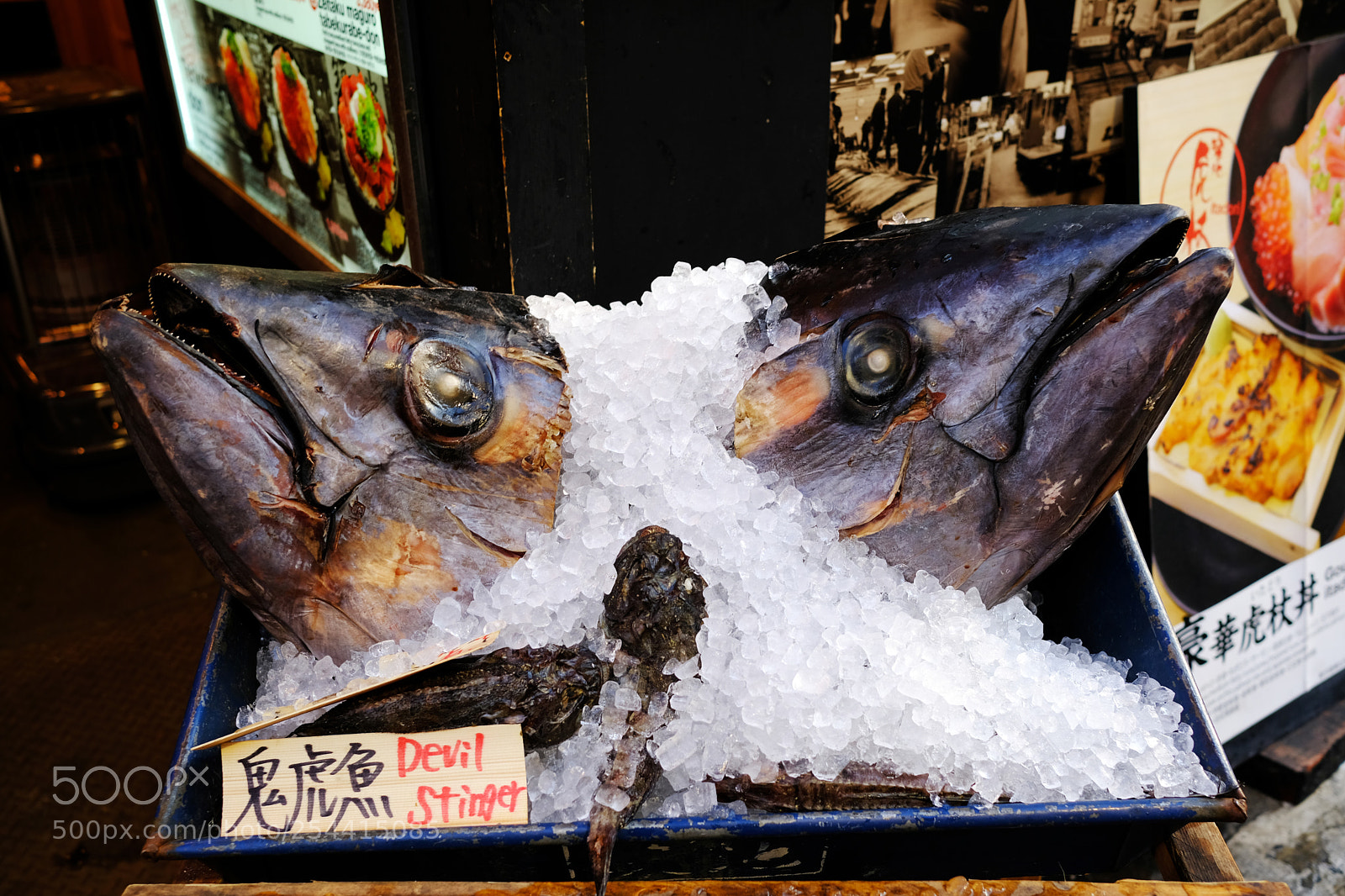 Fujifilm X-T20 sample photo. Tokyo - fish market photography