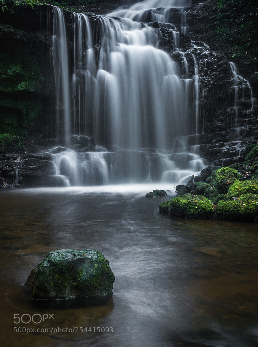 Ricoh GR sample photo. Scaleber force photography