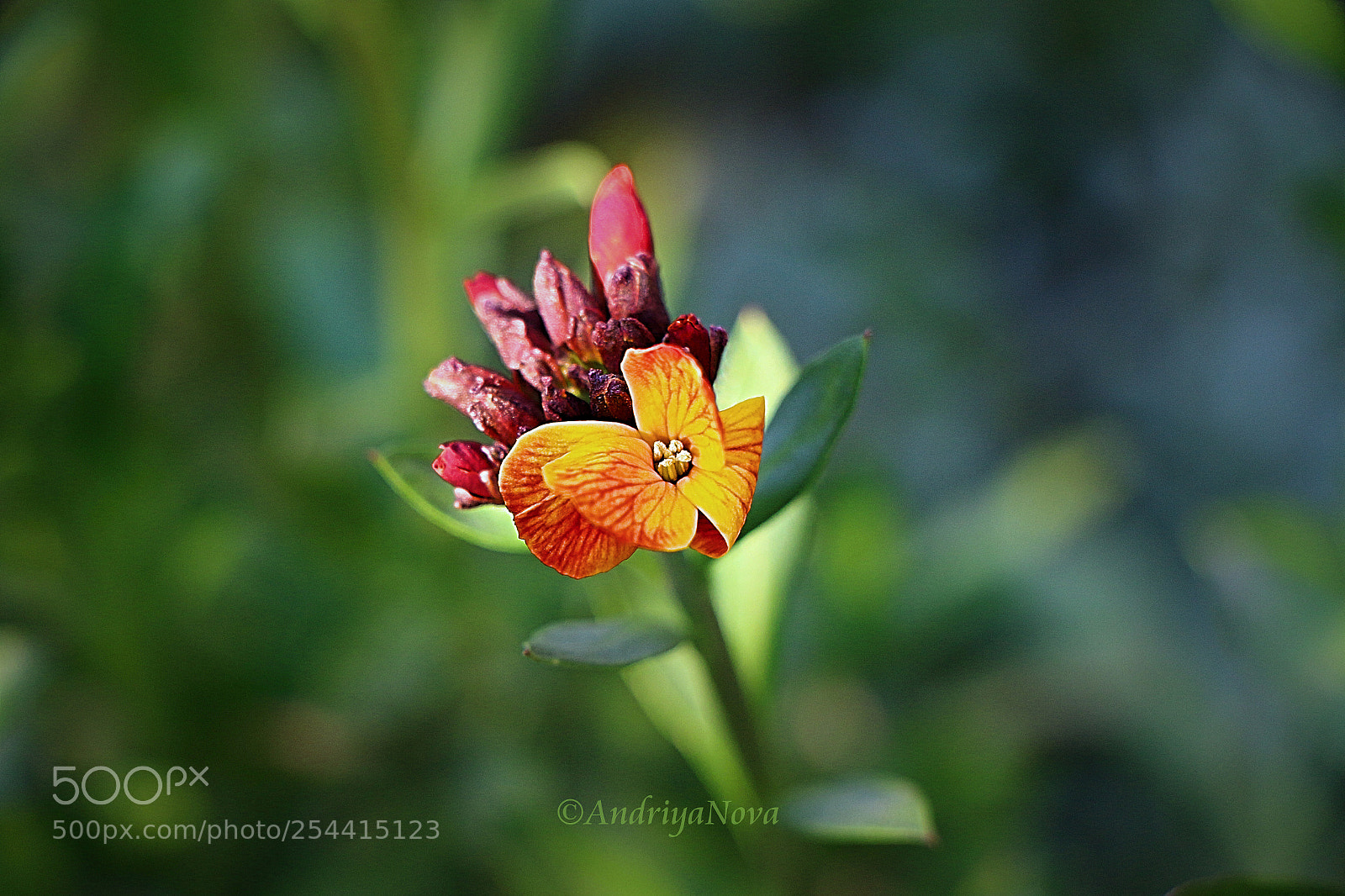 Canon EOS 70D sample photo. Это весна photography