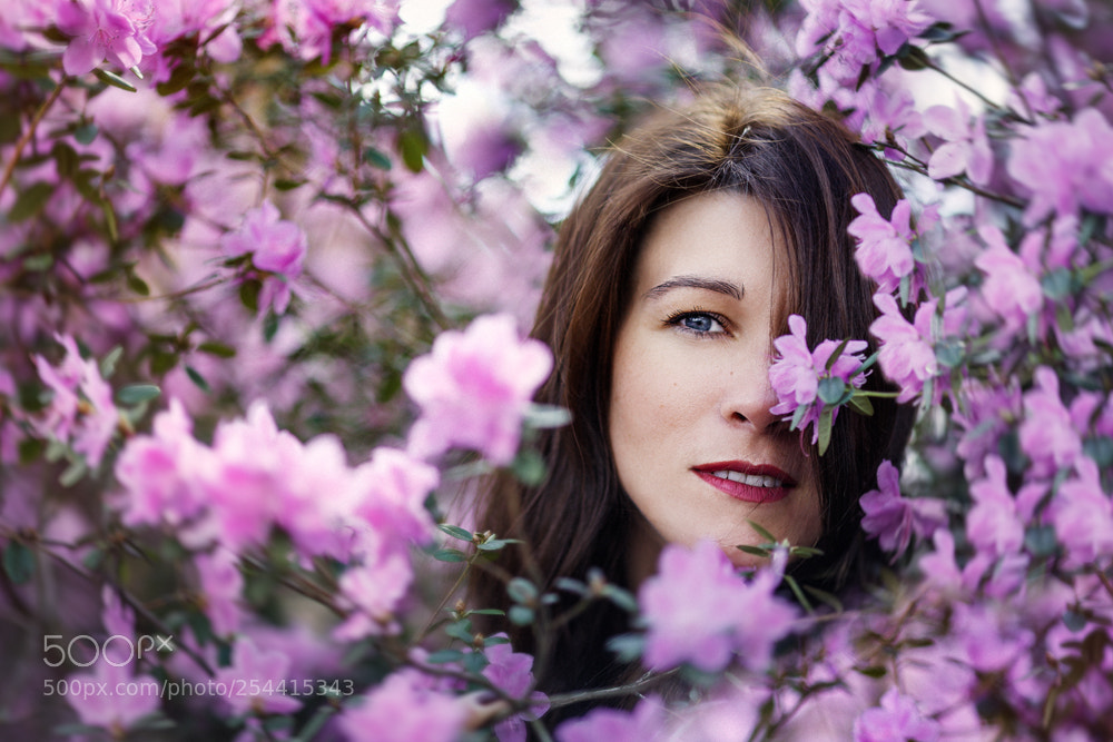 Canon EOS 5D Mark II sample photo. Untitled photography