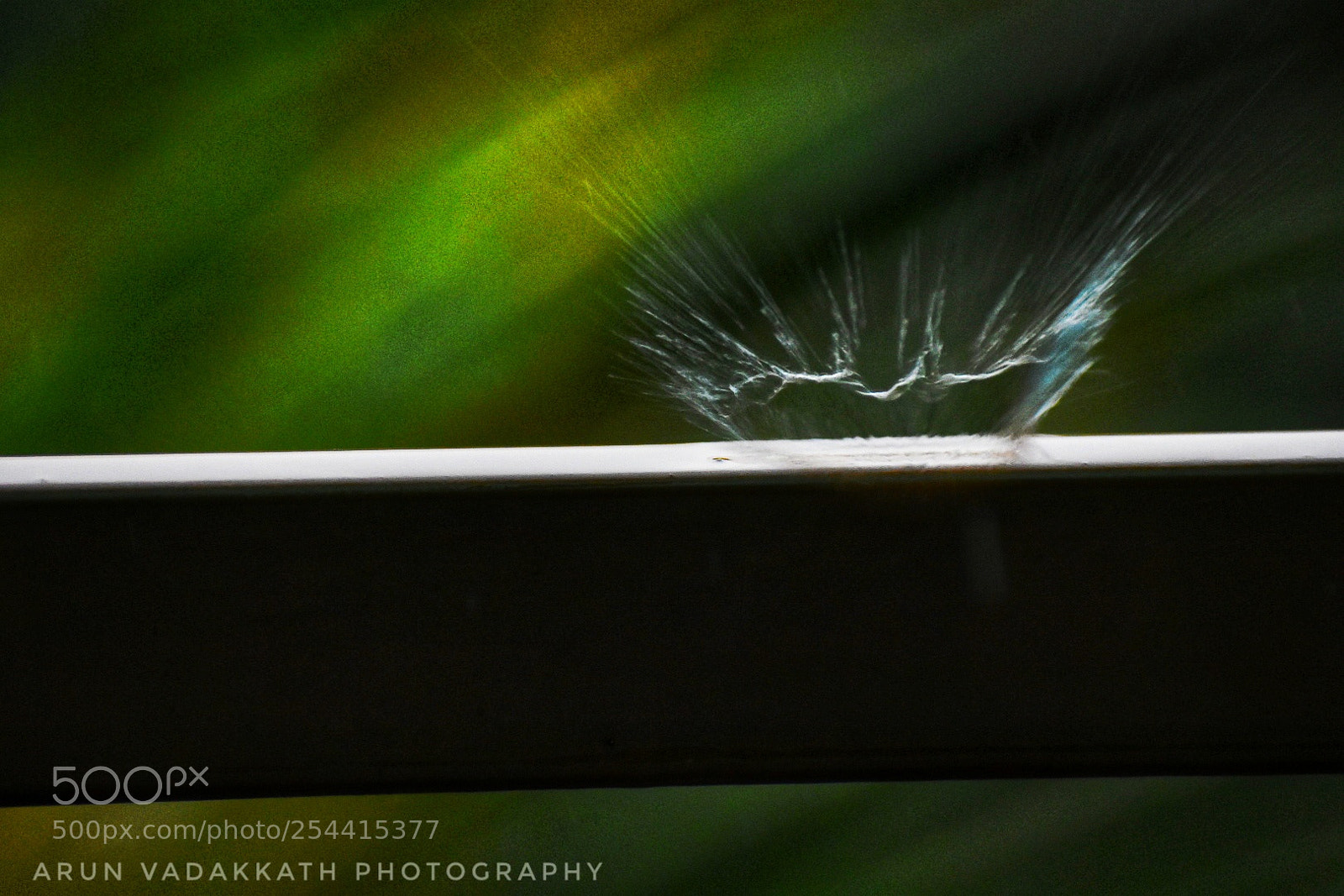 Nikon D3400 sample photo. Bursting droplet photography
