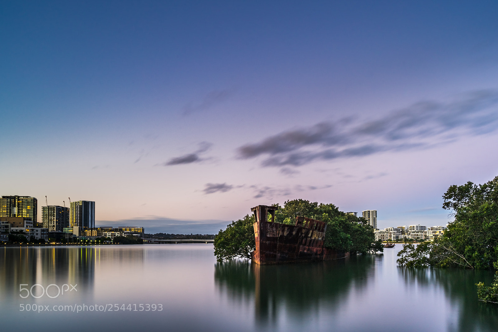 Sony a7 II sample photo. Floating forest photography