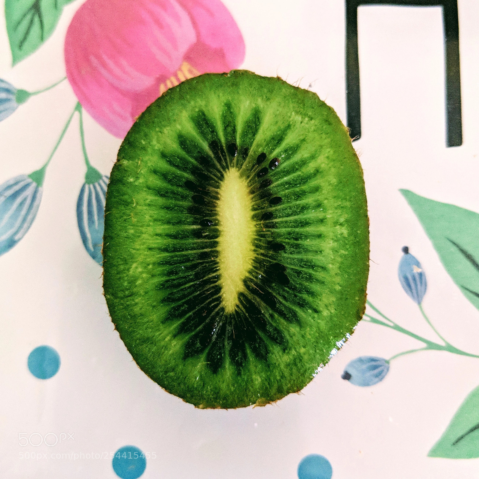 Google Pixel 2 XL sample photo. Kiwi photography