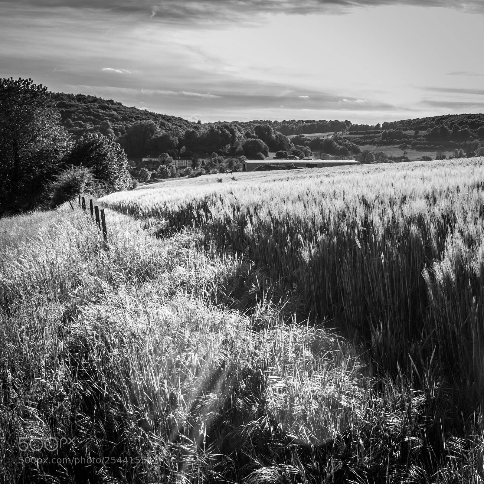Fujifilm X100T sample photo. Fin de journ e photography