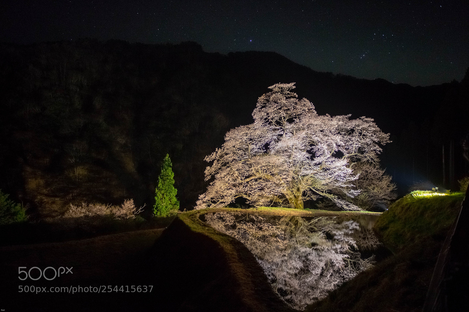 Canon EOS-1D X sample photo. Night show photography