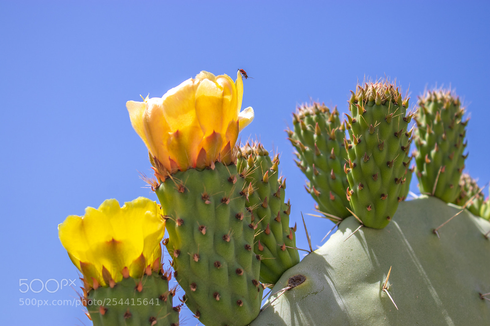 Canon EOS 80D sample photo. Untitled photography