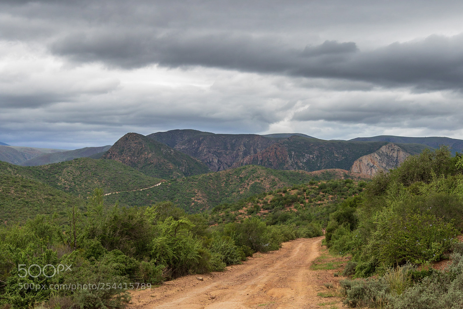 Canon EOS 7D Mark II sample photo. Baviaanskloof photography